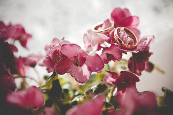 Фото колец на цветущем дереве Фотографируем обручальные кольца