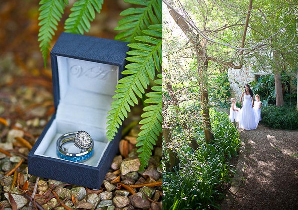 Обручальные кольца в коробочке Свадебные фотографии