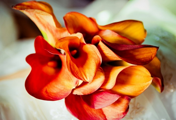 Шикарные оранжевые каллы в букете невесты